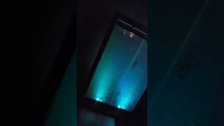 Midnight Gallery 1