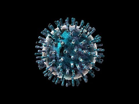 וִידֵאוֹ: 4 דרכים לזהות HPV בנשים (וירוס הפפילומה האנושי)