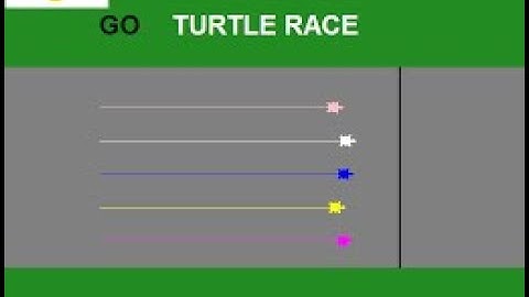 How to make Turtle race in python (part 1)