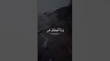 اكتب شي تؤجر عليه 🤍 | القارئ محمد ديبيروف | قرآن كريم