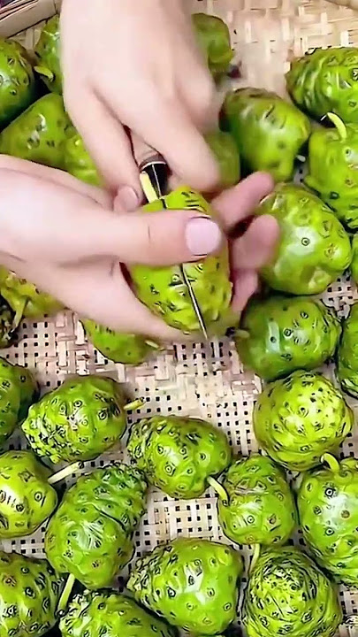 Noni fruit cutting process