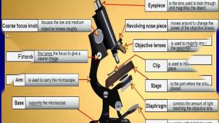 SMK JALAN DAMAI - Cells