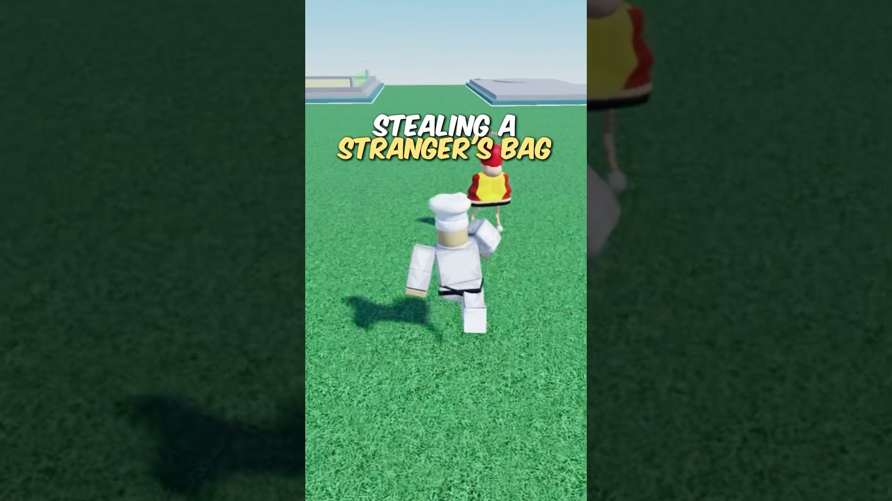 Я УКРАЛ ЕГО СУМКУ! 