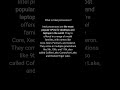 What is Intel processors?