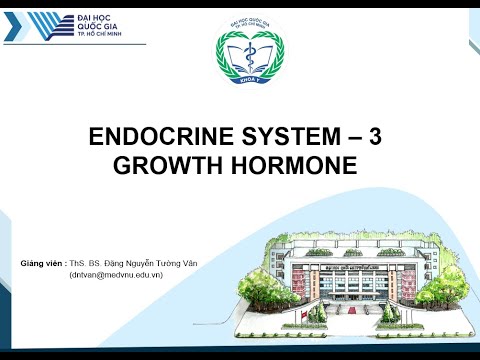 Sinh lý nội tiết 3 - Hormone tăng trưởng