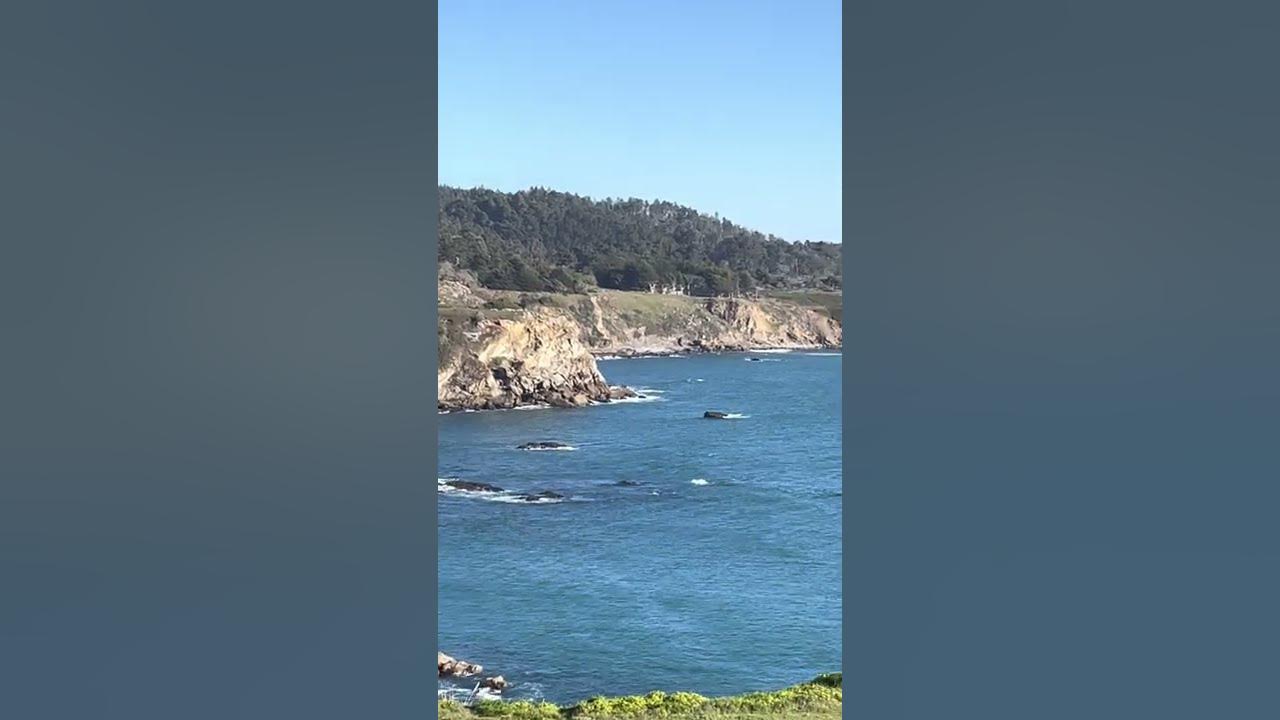 Timber Cove 1 YouTube