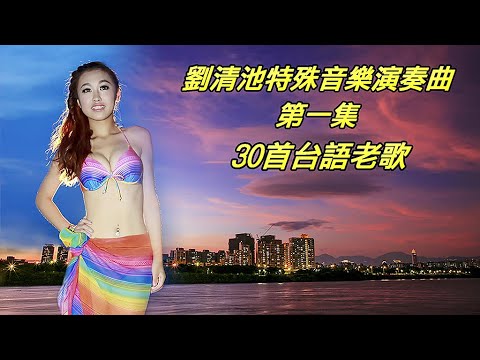 劉清池特殊音樂演奏曲第一集~30首台灣經典老歌輕音樂放鬆解壓