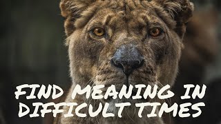 Find Meaning In Difficult times(Dr Viktor Frankl Man Search for Meaning)