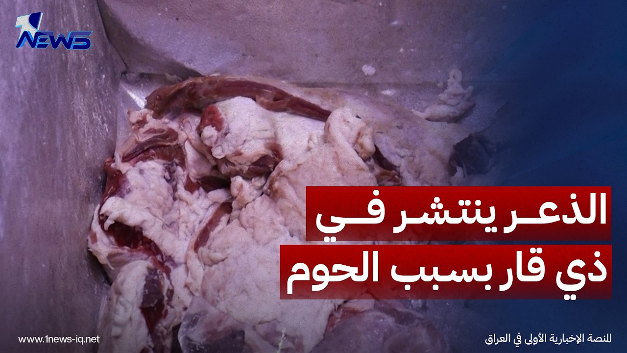 الذعر ينتشر في محافظة ذي قار نتيجة انتشار اللحوم مجهولة المصدر