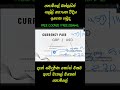 රුපියල් 35 000 ක් නොමිලේ / Trading Free Course Sri Lanka #shorts #trading #binancefuture