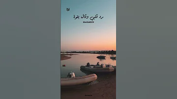 كله قالي اشمعني هو 