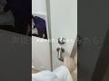 【閲覧注意】これまじで怖かった... #shorts