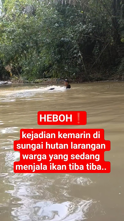 Download lagu Yesterday's incident in the river in the forbidden forest, residents who were fishing suddenly #s...