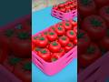 The Color Red Song for Kids, Learn Colors #preschool #shorts