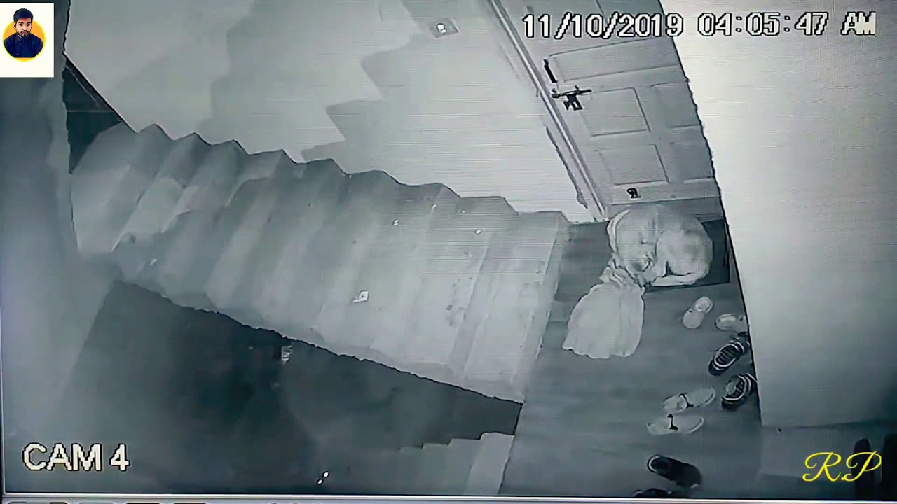 Leopard attacked a dog in Shimla 2019