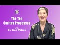 The ten caritas processes  dr jean watson