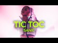 Sanie  tic toc official