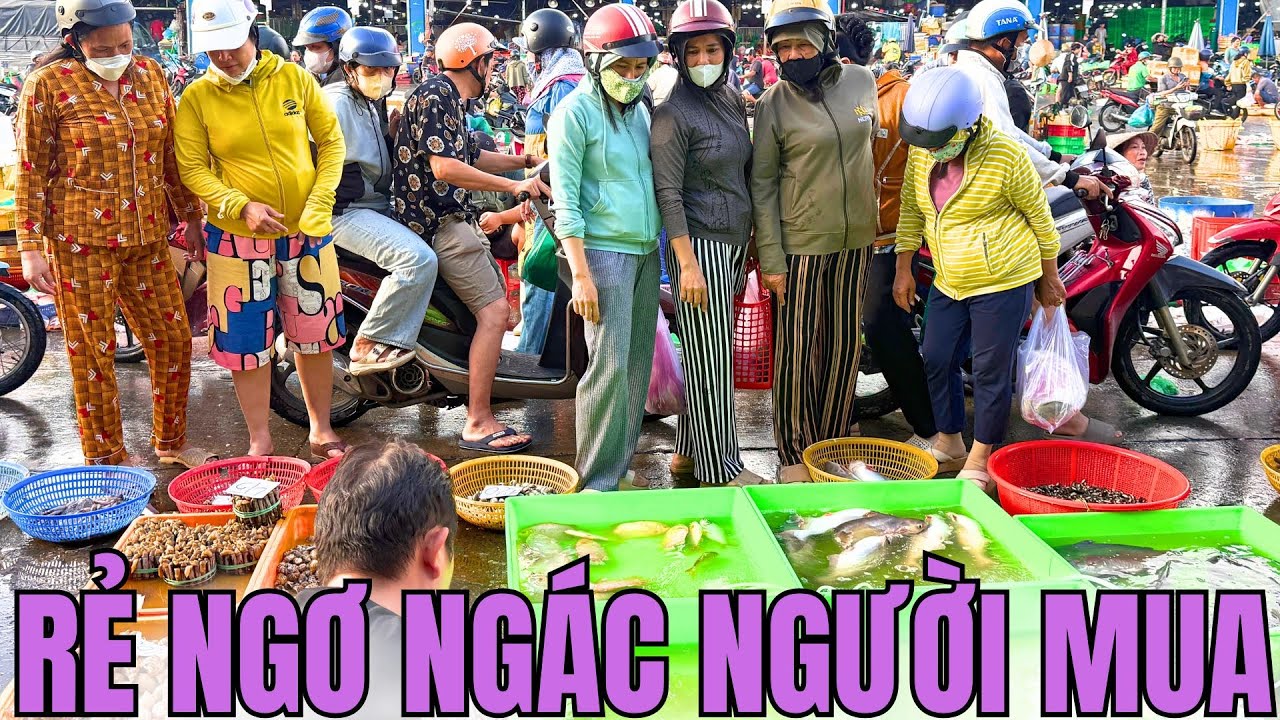 CHỢ CÁ BÌNH ĐIỀN LỄ 2/9, TÔM CÁ "BAO RẺ BAO CÂN"?!CÁ BIỂN TƯƠI TRONG, CÁ SÔNG NHẢY SOI SÓI