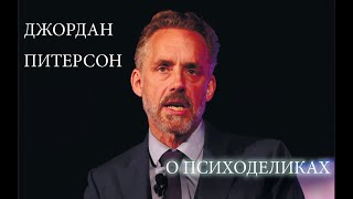 Джордан Питерсон о Психоделиках