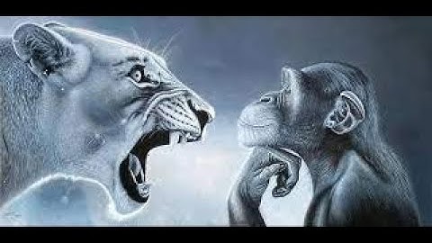 Least toxic mvm high tour