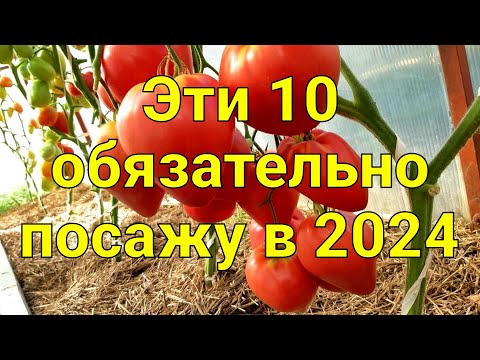 ЭТИ 10 СОРТОВ ТОМАТОВ ДАЮТ ОТМЕННЫЙ УРОЖАЙ