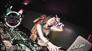 任然,小来哥 - 雀跃 DJ-MJ Electro Remix【多想留在你的身边 让爱渗透了整个世界】🔥🔥 4K Music Video