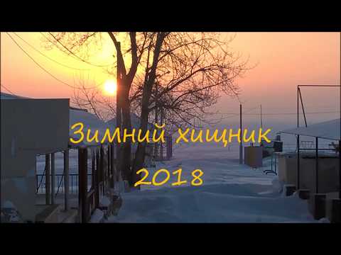 Волга. Ульяновск. Пляж.
