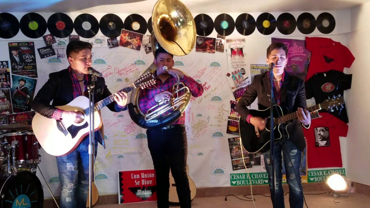 Los gemelos de sinaloa