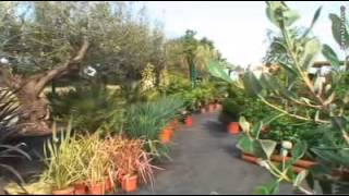 Amis Verts sarl Puel à Lavaur-Jardinerie-Animalerie