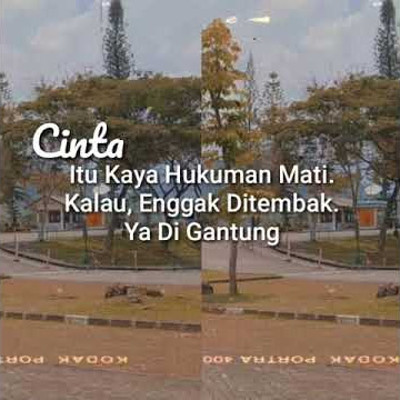 Story Wa 30 Detik Gabut / Story Wa Lagu Jawa / Story Wa Jawa /  Status Wa Jawa Terbaru