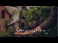 نشيد يا قلب ماذا دهاك نشيد يا قلب ماذا دهاك