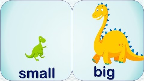 Các tính từ trái nghĩa trong tiếng anh 😎  | TIẾNG ANH TIT EDU