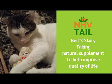 Bert&#039;s Story: Taking natural supplement to help improve quality of life | NHV Tail