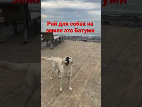 Рай на земле