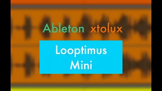 Looptimus Mini