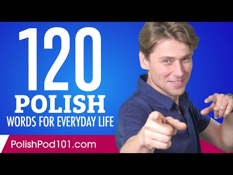 120 Polish Words for Everyday Life Basic Vocabulary 6