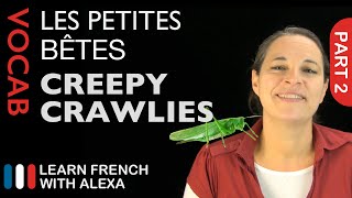 Creepy Crawlies in French Part 2 (basic French vocabulary from Learn French With Alexa)
