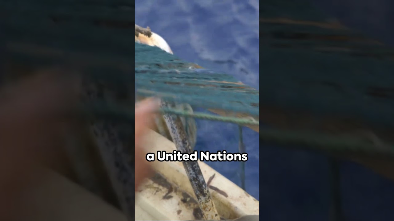 6 fun facts about Tuvalu. 