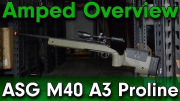 Amped Overview - ASG Proline M40A3