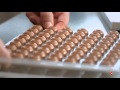 The Essentials - A technique by l'Ecole Valrhona - Truffles