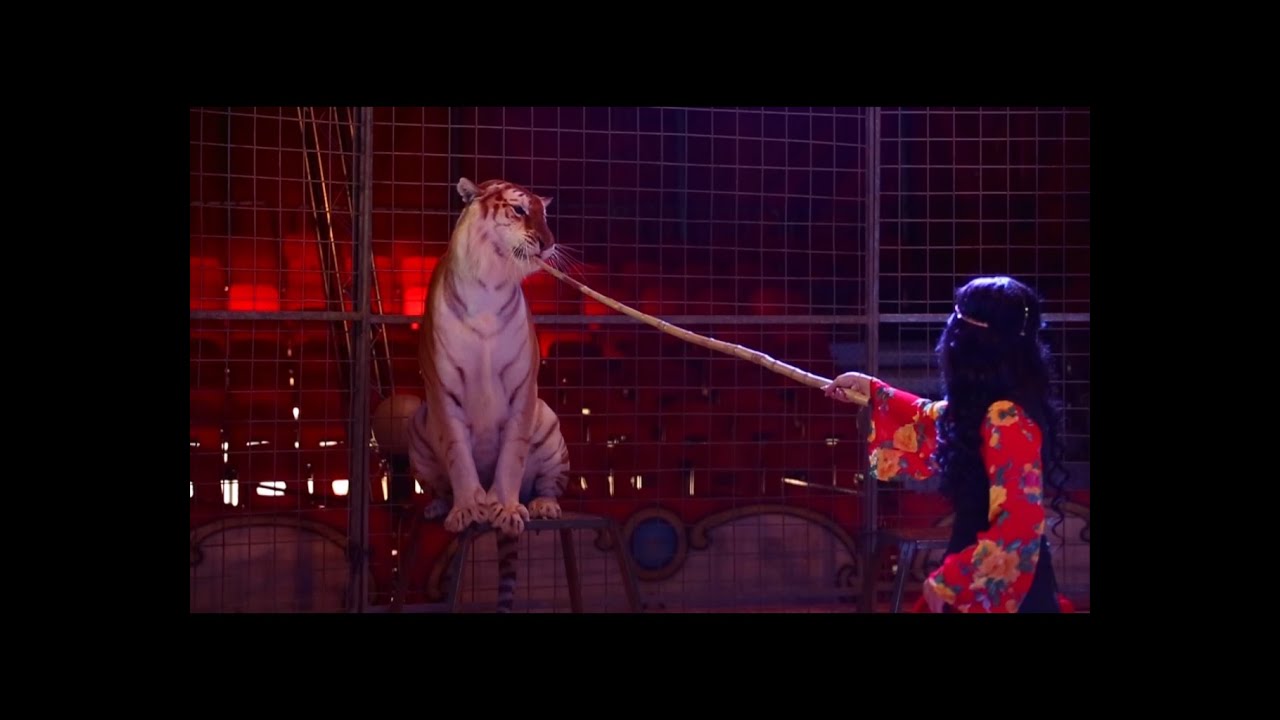 Nótár Mary - Csók csók puszi (Skyforce Label hivatalos videóklip)