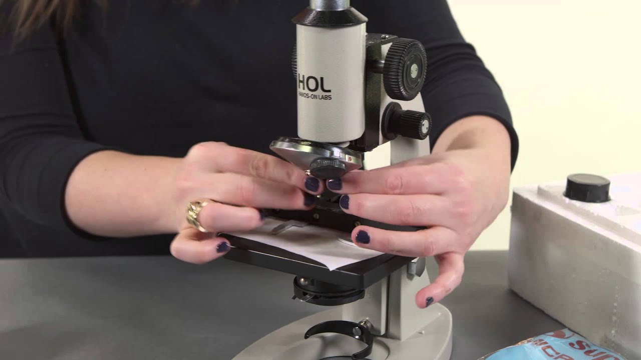 Setting Up The Microscope Youtube
