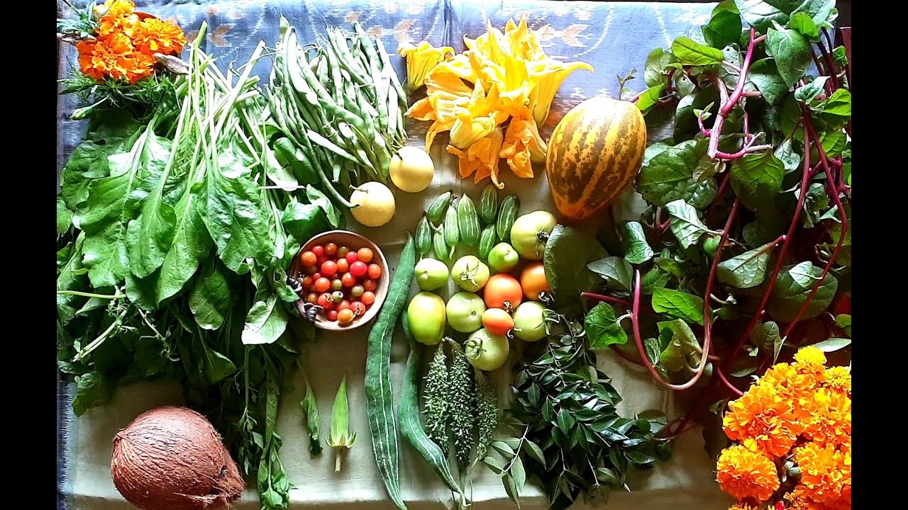 Meenakshi Arun's Kitchen Garden Tour Part 1 Composting, Soil