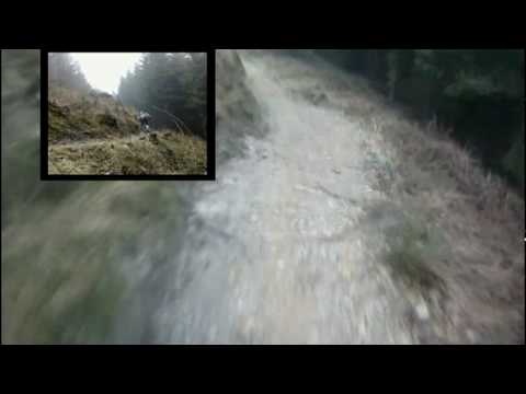 youtube dalby forest.mpg