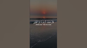 أجمل تلاوات القرآن الكريم تريح القلب وتشرح الصدر#قرآن #قران #تلاوات #قران_كريم