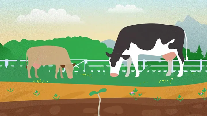 Dairy as a Closed-Loop System