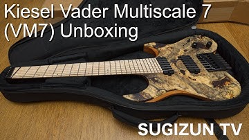Kiesel Vader Multiscale 7 Strings(VM7) Unboxing