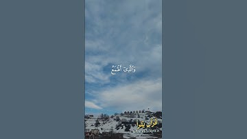 الذي خلقني فهو يهدين #سورة_الشعراء #القرآن_الكريم #اسلام_صبحي #اكسبلور#راحة_نفسية #لايك #تلاوة_خاشعة