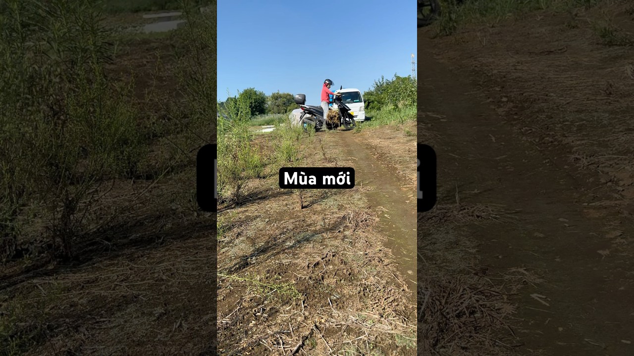 Mn đã vào vụ thu đông chưa???? #minivlog