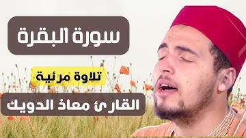 سورة البقرة(مرئية)القارئ معاذ الدويك || Sourate Al Baqarah Mouad Daouik